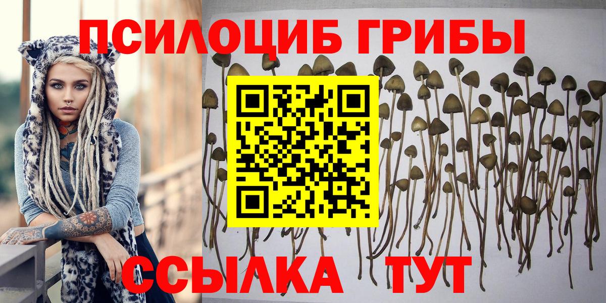 Псилоцибиновые грибы мухоморы  Вход с VPN  Кунгур  Галлюциногенные грибы прущие грибы 