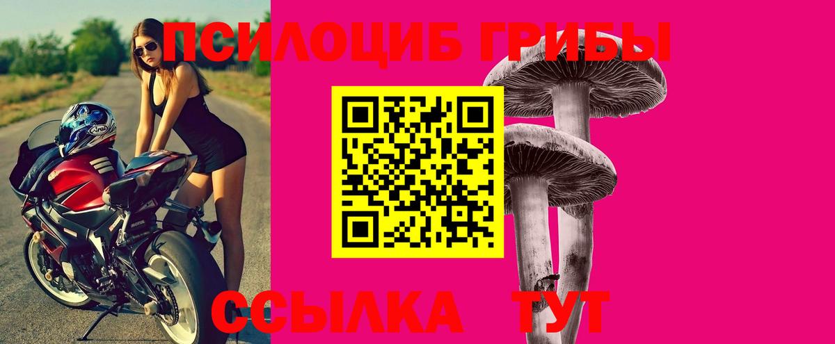 Галлюциногенные грибы GOLDEN TEACHER Кунгур